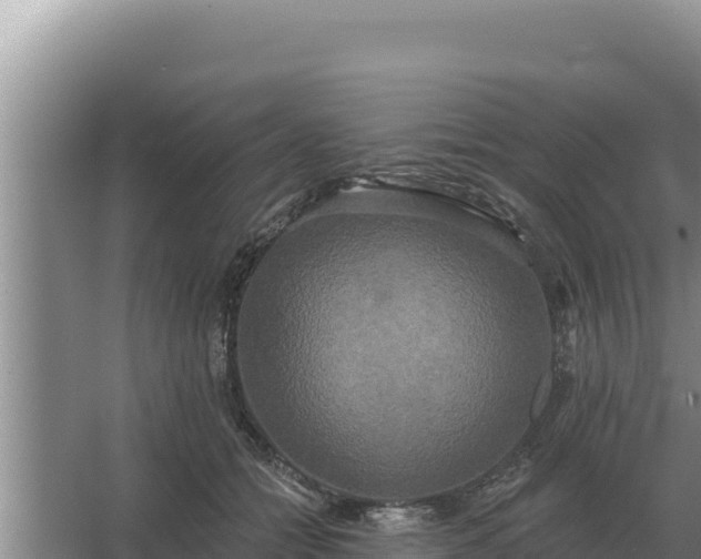 X0000067390558200604071756