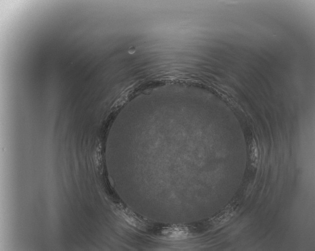 X0000067390559200604071756