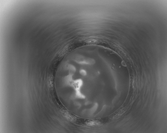 X0000067390561200604071756