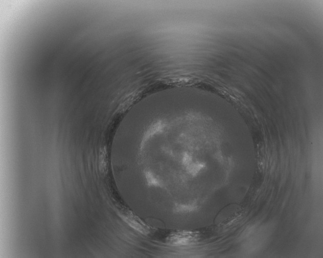 X0000067390563200604071756