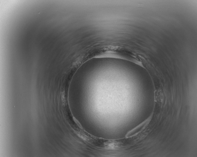 X0000067390564200604071756