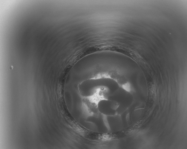 X0000067390565200604071756