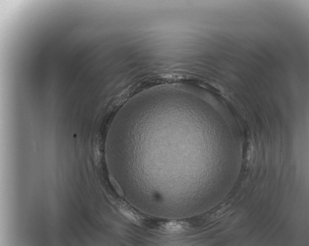 X0000067390566200604071756