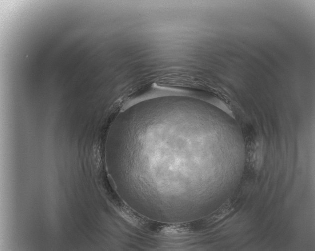 X0000067390568200604071756