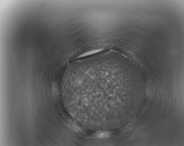 X0000067390569200604071756