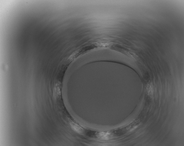 X0000067390570200604071756