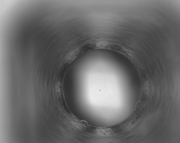 X0000067390571200604071756