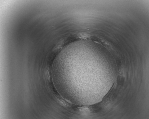 X0000067390572200604071756