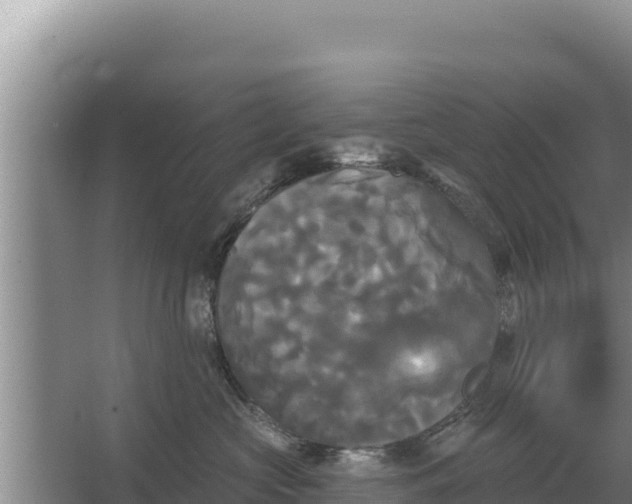 X0000067390573200604071756