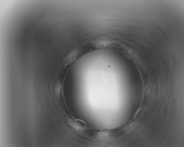 X0000067390574200604071757