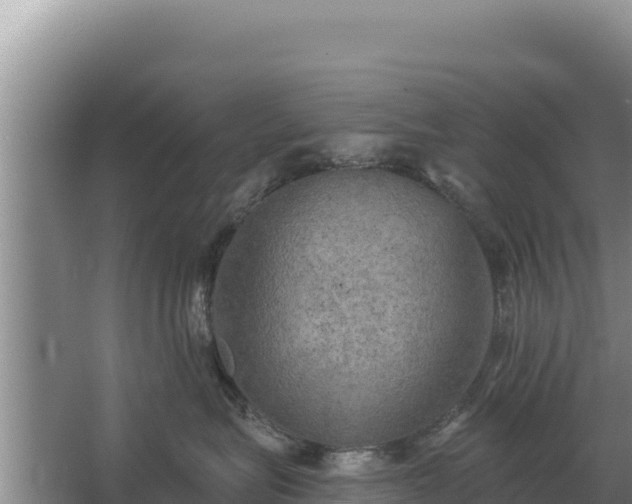 X0000067390575200604071757