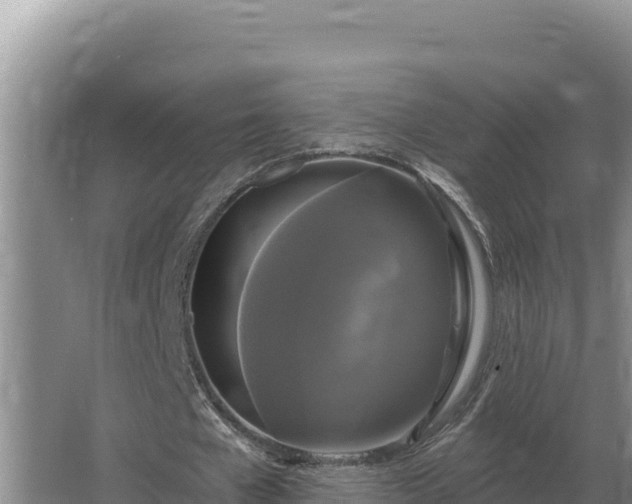 X0000067390577200604071756