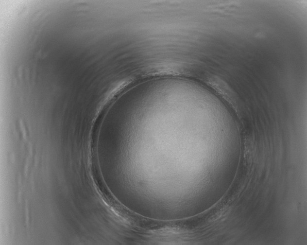 X0000067390578200604071756