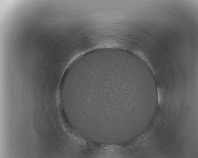 X0000067390579200604071756