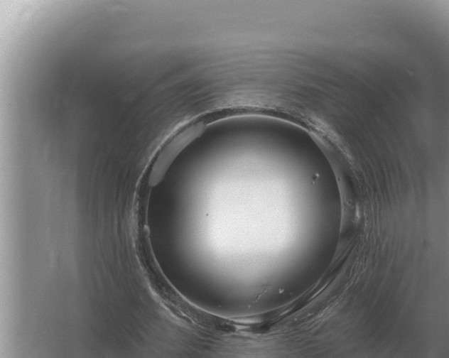 X0000067390580200604071756