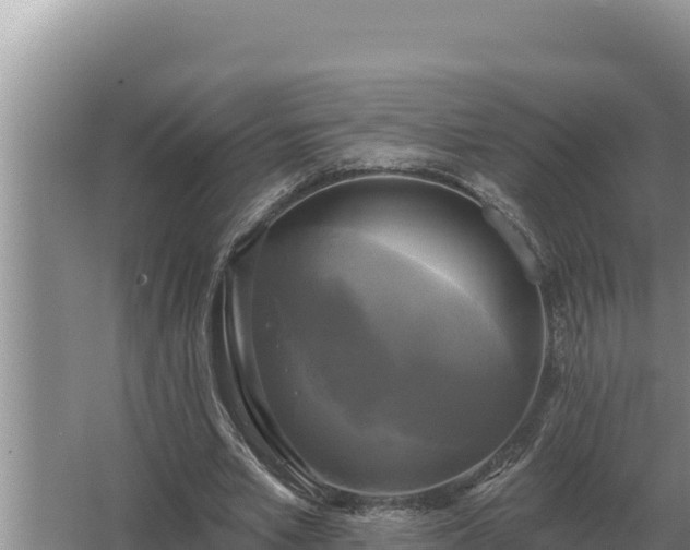 X0000067390581200604071756