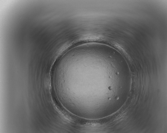 X0000067390582200604071756