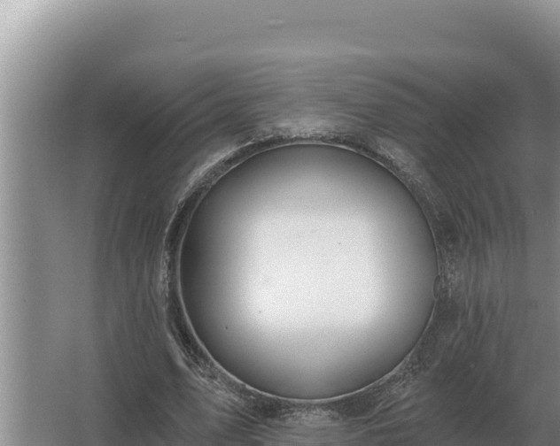 X0000067390583200604071756