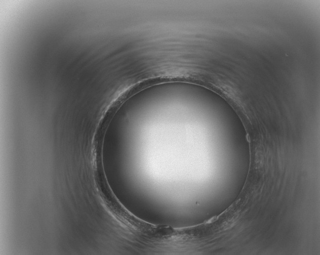 X0000067390584200604071756