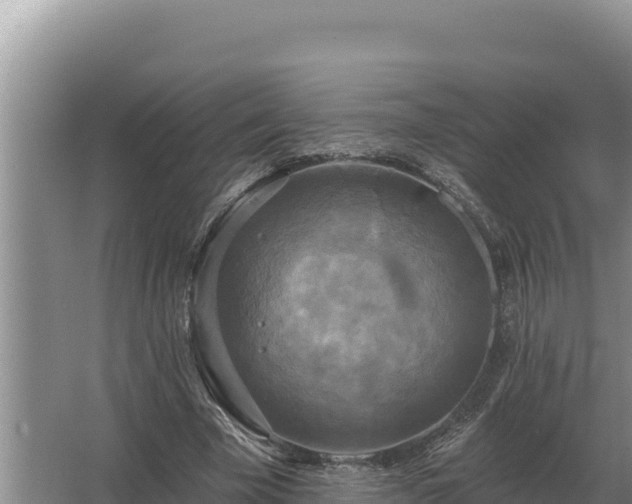 X0000067390585200604071756