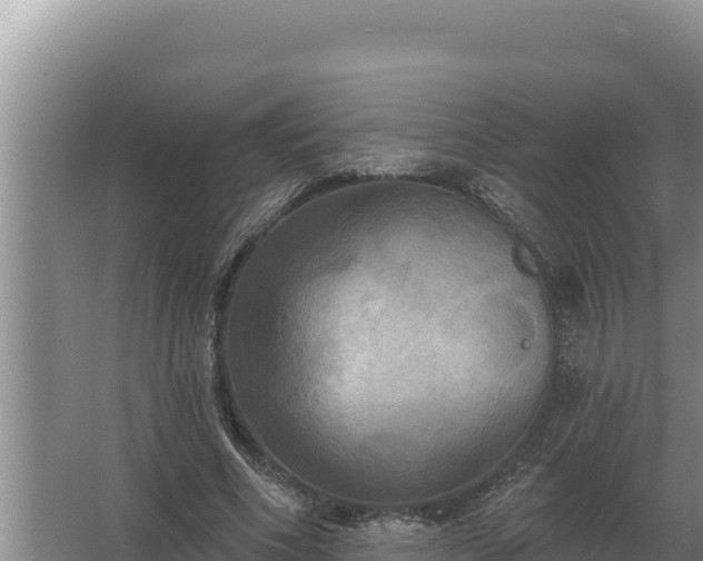 X0000067390586200604071756