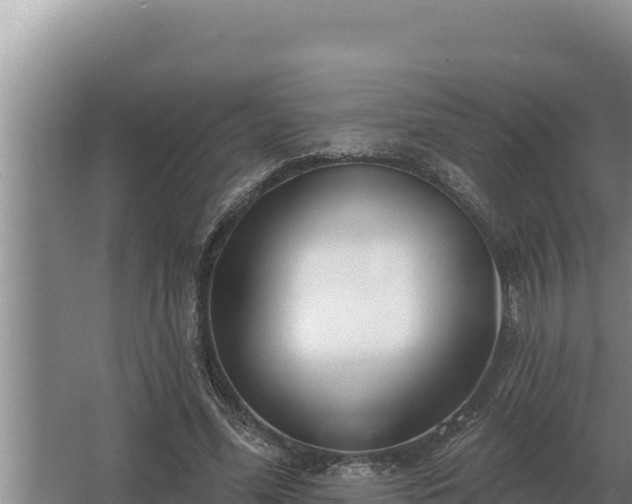 X0000067390588200604071756