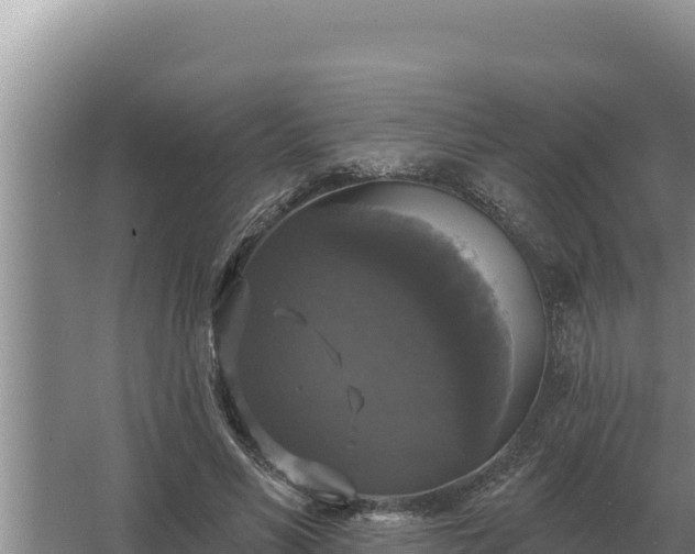 X0000067390590200604071756