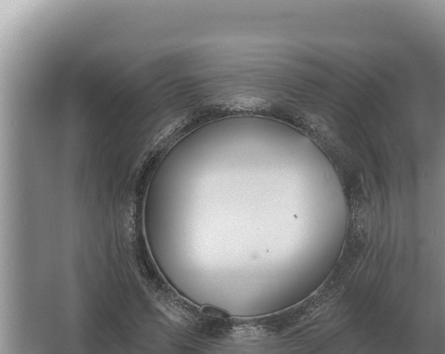 X0000067390591200604071755