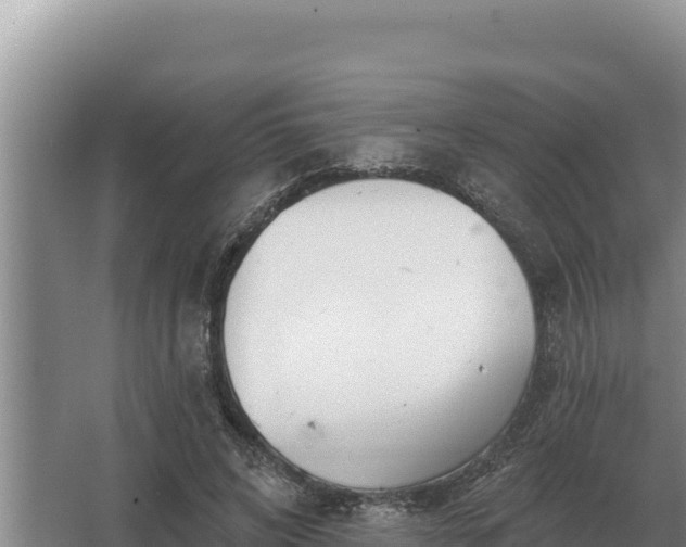 X0000067390592200604071755