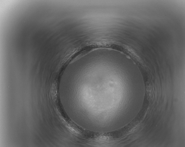 X0000067390593200604071755