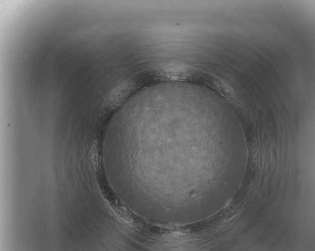 X0000067390594200604071755