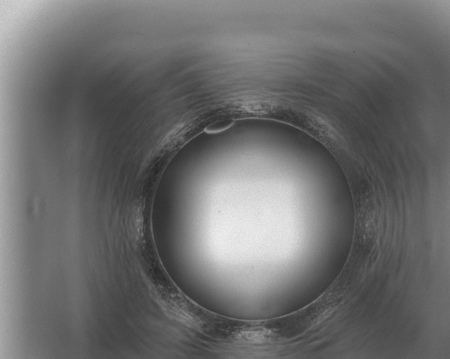 X0000067390595200604071755