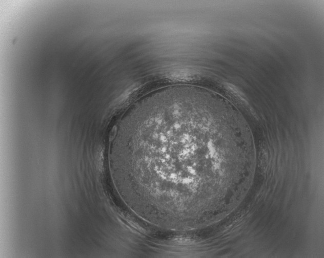 X0000067390596200604071755