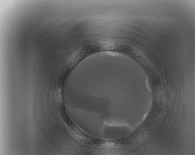 X0000067390598200604071755