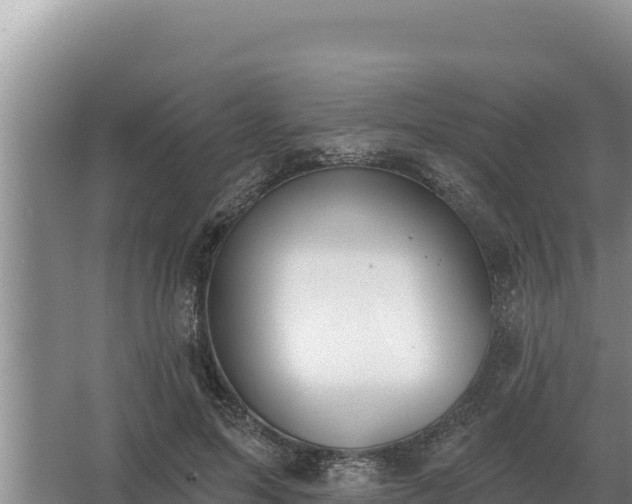 X0000067390599200604071755