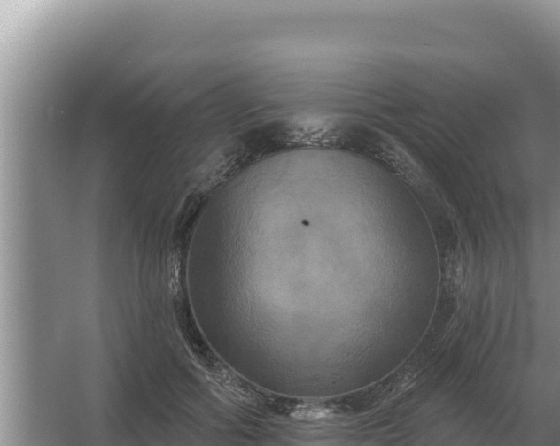 X0000067390602200604071755