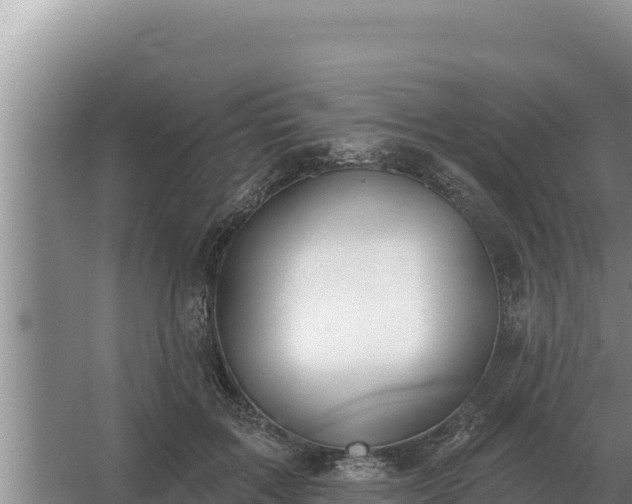 X0000067390603200604071755