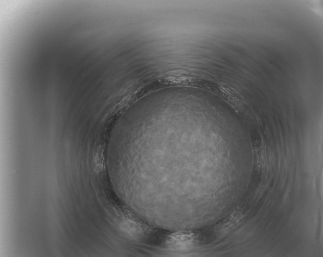 X0000067390606200604071755