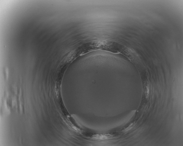 X0000067390607200604071755