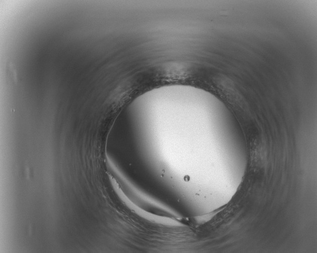 X0000067390608200604071755