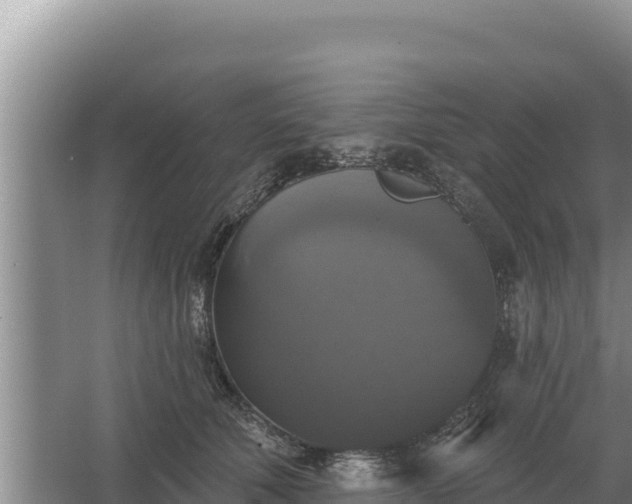 X0000067390610200604071755