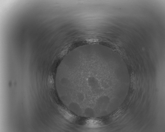 X0000067390614200604071755