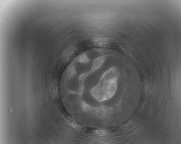 X0000067390615200604071755