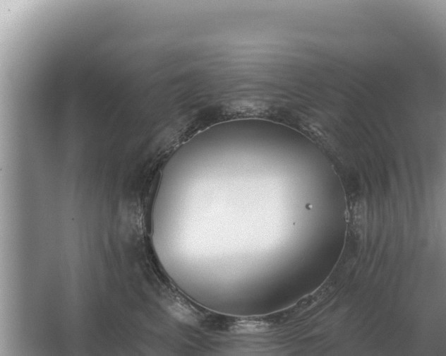 X0000067390617200604071755