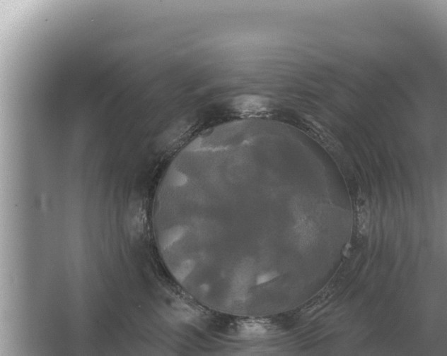 X0000067390618200604071755