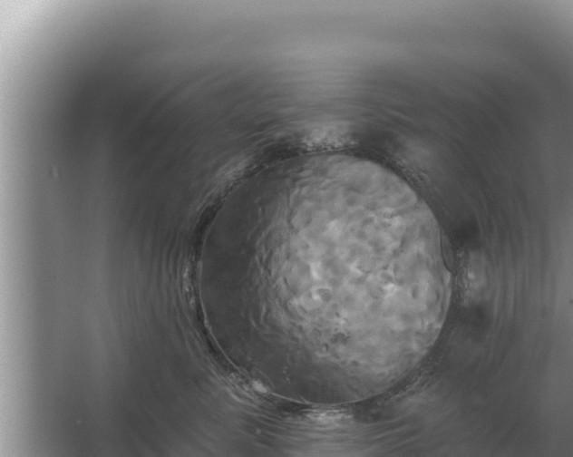 X0000067390619200604071755