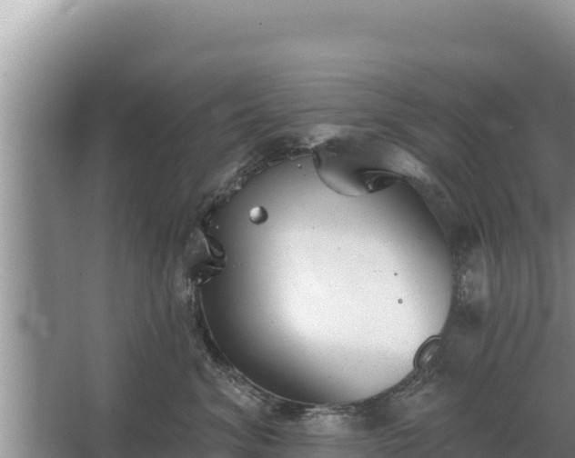 X0000067390620200604071755