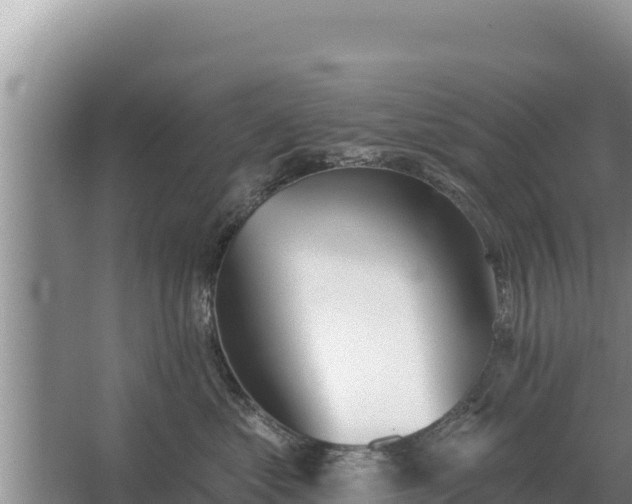 X0000067390621200604071755