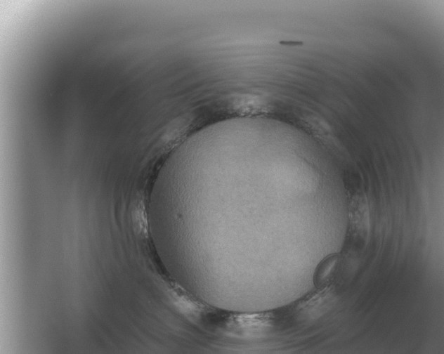 X0000067390622200604071755