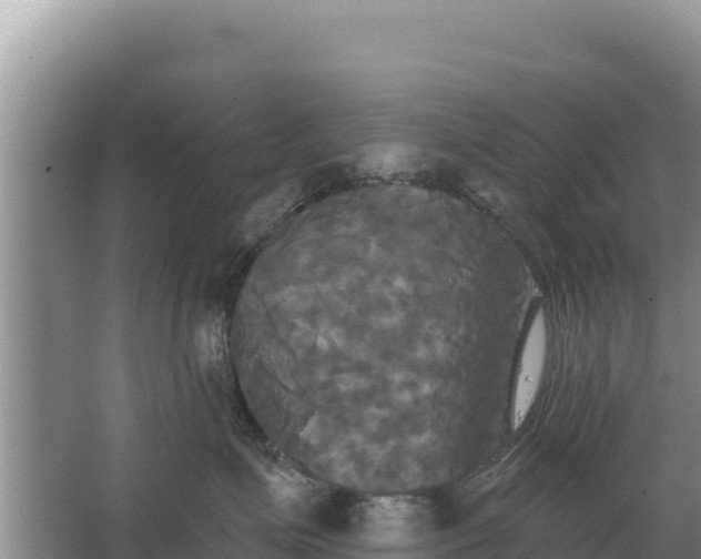 X0000067390623200604071755